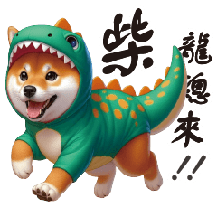 Shiba Inu brings good luck