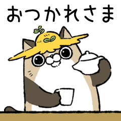 moving hatakenokamisama(cat)