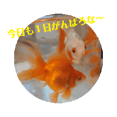 buchikuma_20240220183354