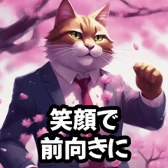 Positive Cat CEO & Cherry Blossoms