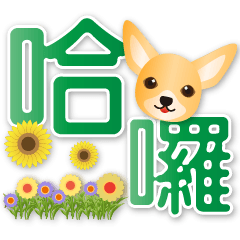 可愛吉娃娃--實用生活用語