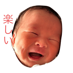 nob_20240220194135