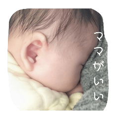 kana_20240220213232
