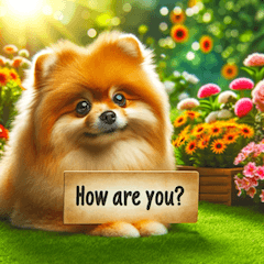 Cheerful Pomeranian: