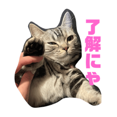 sakura_20240221000830