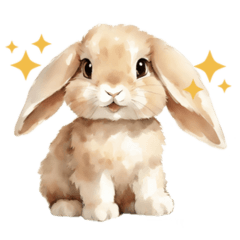 lop-eared rabbit daily use