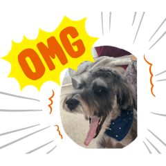 bonkiku1226_20240220232238