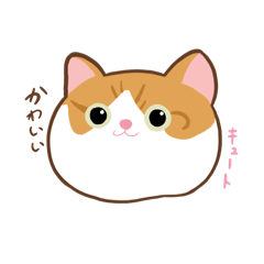 yuka_20240221012210