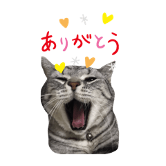 riiiiian_20240221085652