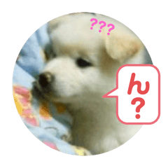 yuka_20240220215643
