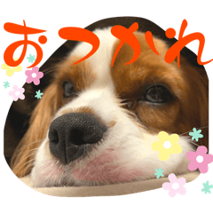 omochi_20240220215806
