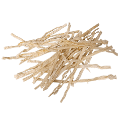 Food Series : Dried Shredded Squid