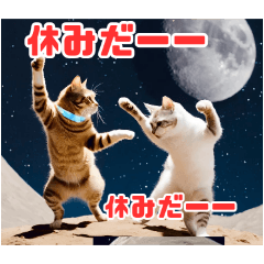 にひきの宇宙ねこねこ