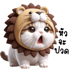 Meow little Lion