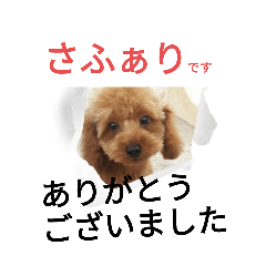free_20240221144622