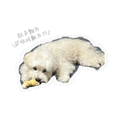 嘟嘟日常｜ 第二彈 ！