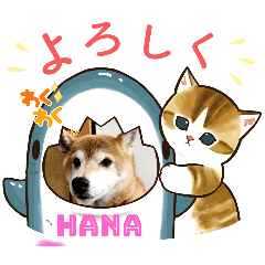 HANA_20240221143828
