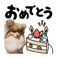 Coyote Lapin_20240221201105