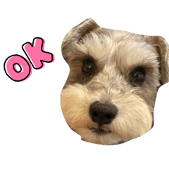 Hanazo_20240221221253