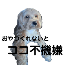 yuaha_20240222012010