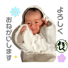 Zuboramama_20240221234419