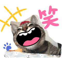 yuka_20240222050619