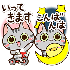 Sticker of American shorthair Cat. (BIG)