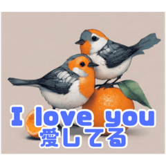 Adorable Birdies & Orange Stamps