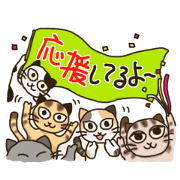 Cheerful and cute Tabby cats!