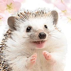 Pastel Hedgehog Spring Sticker