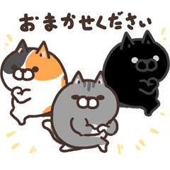 Plump cat friends