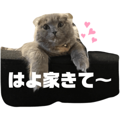 なわはやばはわらわなまかまなわ