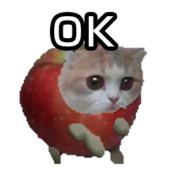 Meme kucing [Kucing Apel]