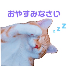 Nao_20240219211338