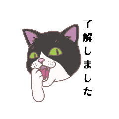 head of cat(business)