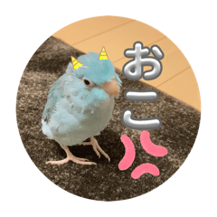 Sakura_20240223000132