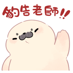 Regular life of Damu the cute seal (3)
