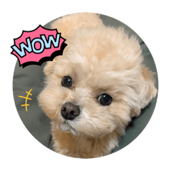 うたしんさやななやわ