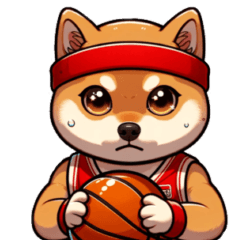 Shiba dog which likes basketballs