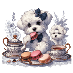 Maltese Puppy Toby -Tea Time