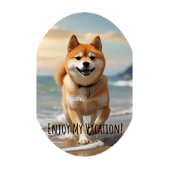 Shiba Inu at the Beach