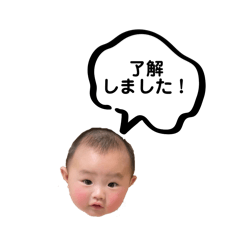 Kota mama_20240223132637