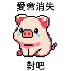 mini pig's nonsense4