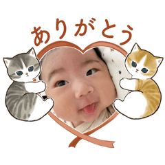 kana_20240223164445