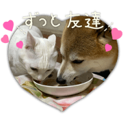 fuwawa_20240223154854
