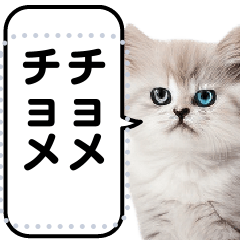 リアル猫のメッセージスタンプ02昭和