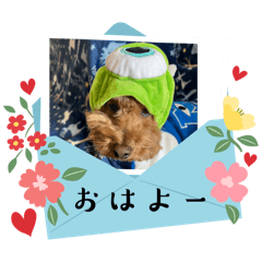 Konatsu_20240223203644