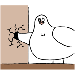 Mr. White pigeon
