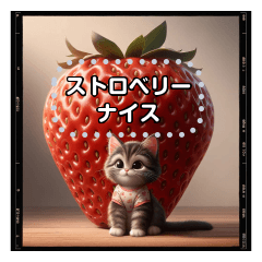 猫とフルーツのメッセージスタンプ