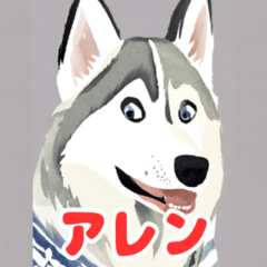 "Siberian Husky Expressions"